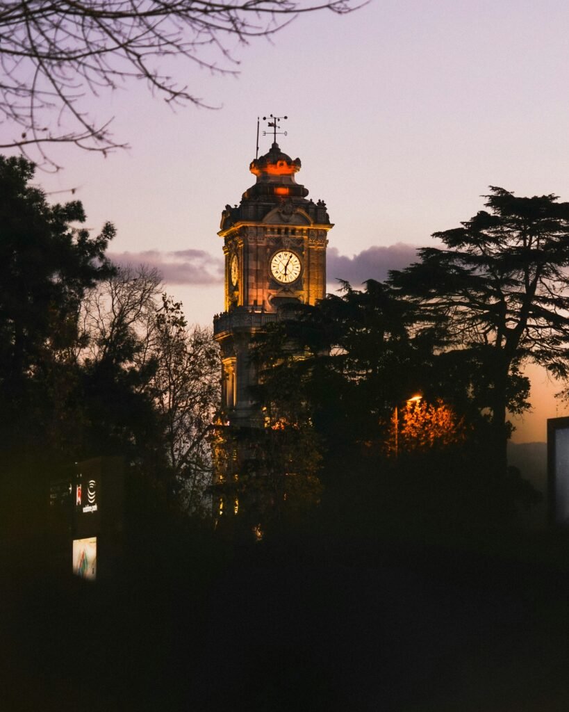silhouette of trees and building during night time