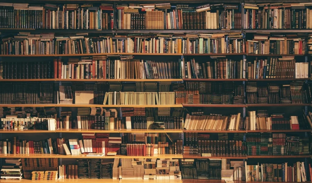 Freud vs. Jung: O Que Realmente Causou o Rompimento e Como o Comitê Secreto Tentou Destruir Jung