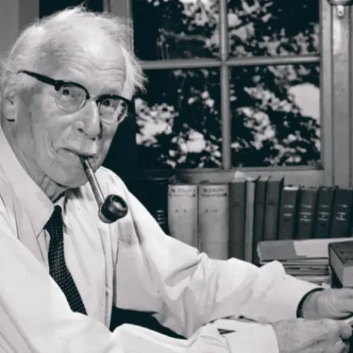 Jung: Como Começar a Estudar Psicologia analítica? [Guia  2023]