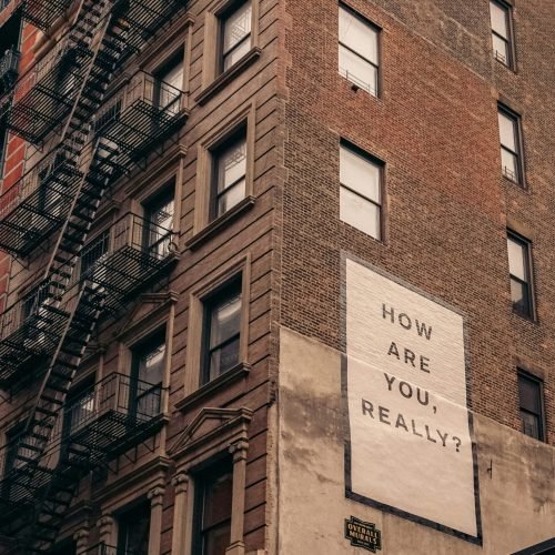 Photo by <a href="https://unsplash.com/@finnnyc" rel="nofollow">Mitch</a> on <a href="https://unsplash.com/?utm_source=hostinger&utm_medium=referral" rel="nofollow">Unsplash</a> 